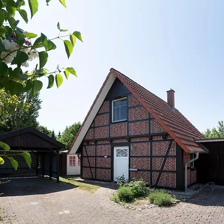 Seeadlerweg 9 Holiday home *